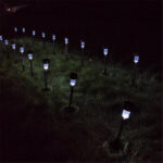 10-Pack Stainless Steel Solar Lights