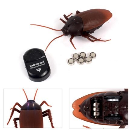 Remote Control Cockroach