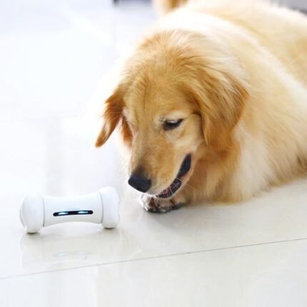 Smart Interactive Pet Toy For Bored Dogs