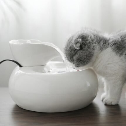 Automatic Circulating Cat Water Dispenser